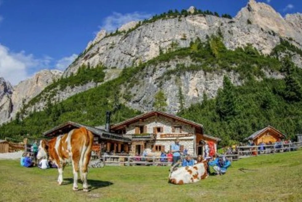 A hut with animals standing outside in a hilly area.