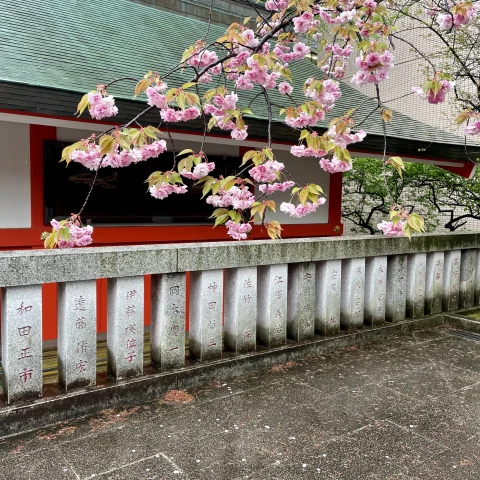 A picture of exterior of a house with pink flowered tree.