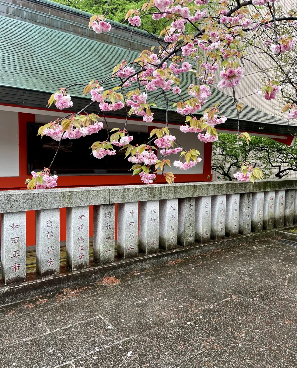 A picture of exterior of a house with pink flowered tree.