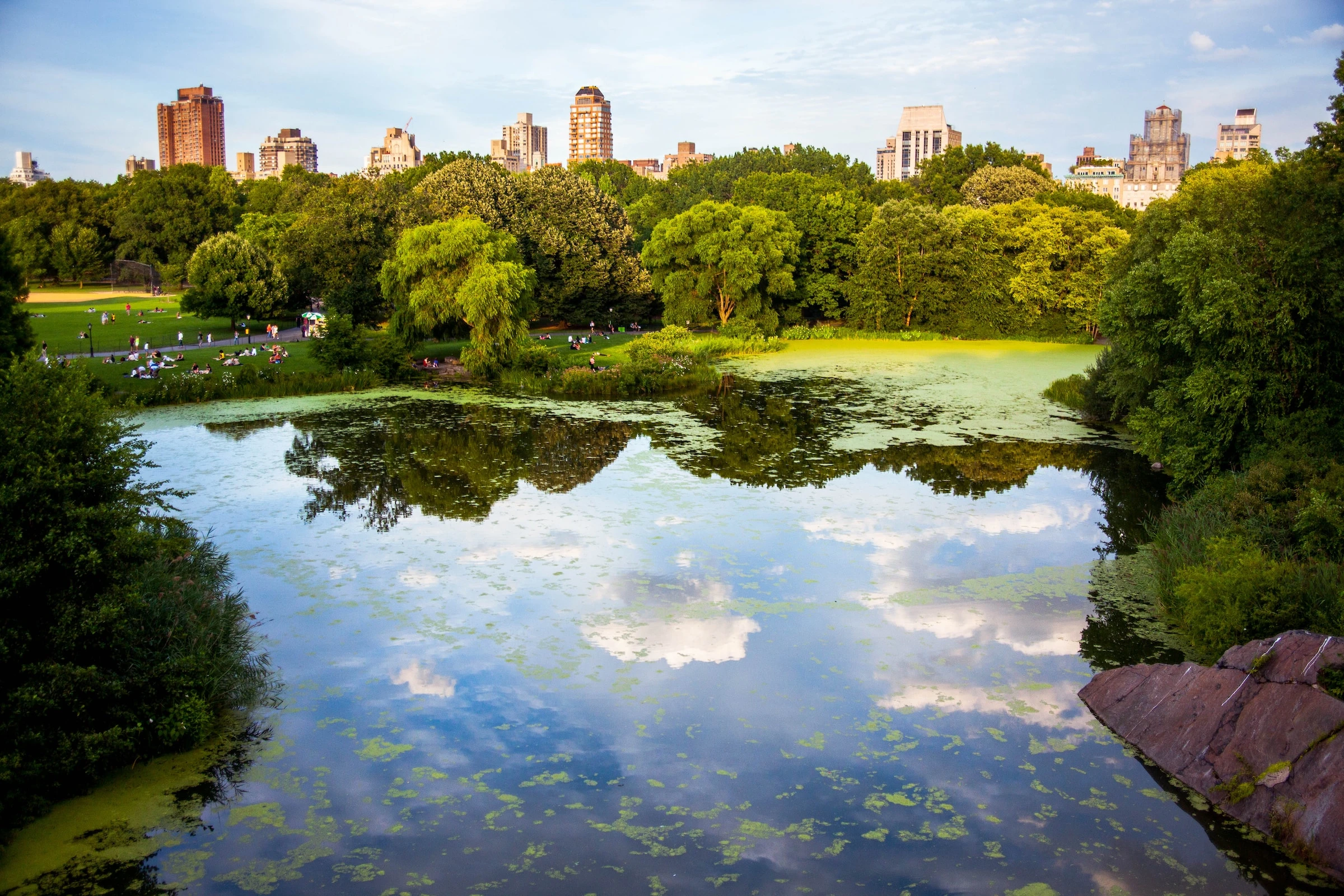 Central Park is the largest park in Manhattan, New York City. 