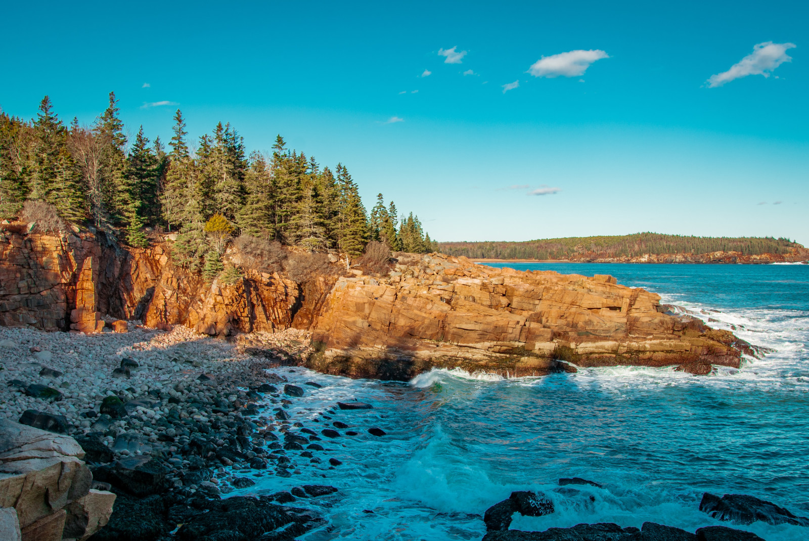 Body of water next to rocky coastline and trees with blue skies during daytime