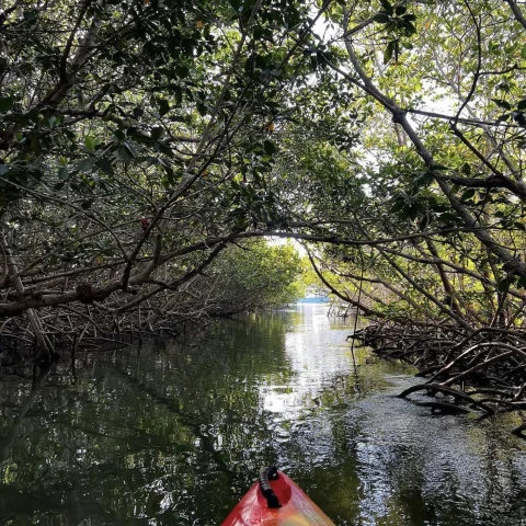 A picture of the tip of a canoe in a lake during daytime