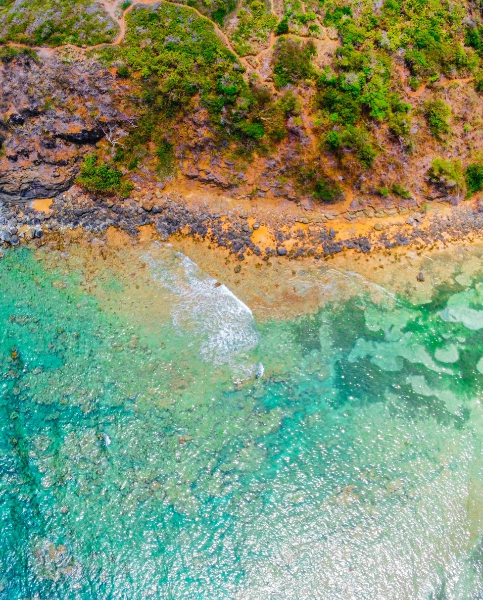 an aerial view of a beach and trees