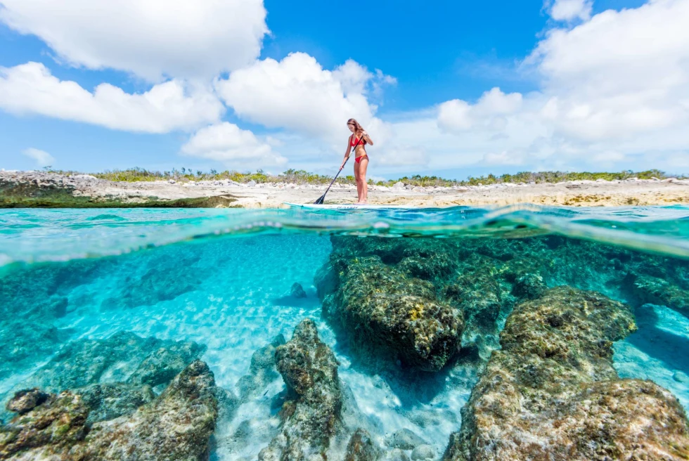 A girl in a red swimsuit paddle-boarding over a blue sea. 