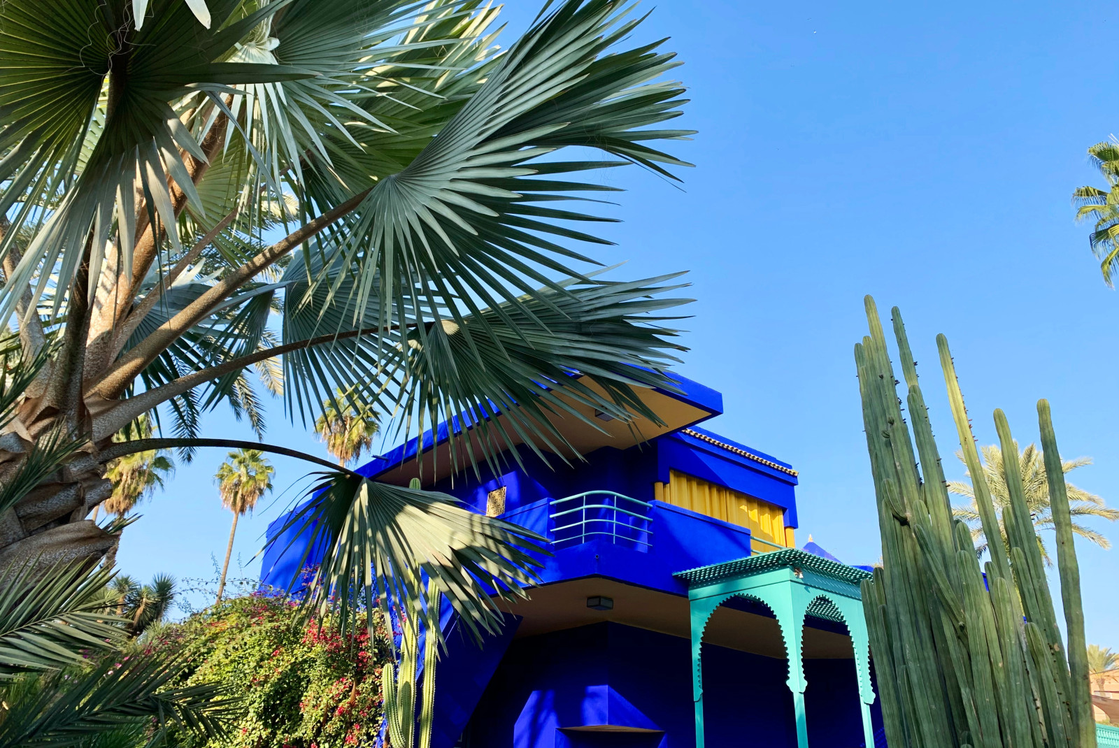 blue building surrounded by palm trees during daytime