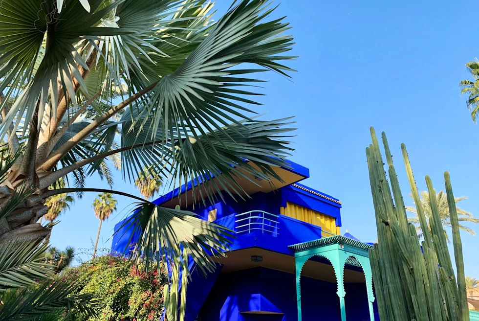 blue building surrounded by palm trees during daytime