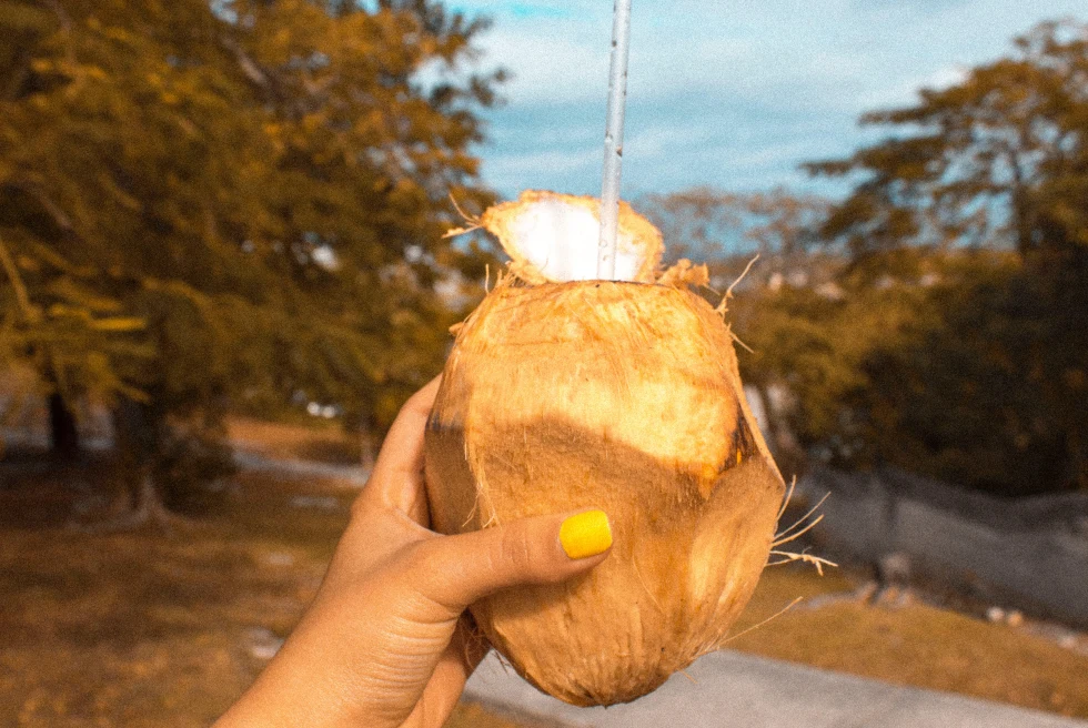 A hand holding a coconut. 