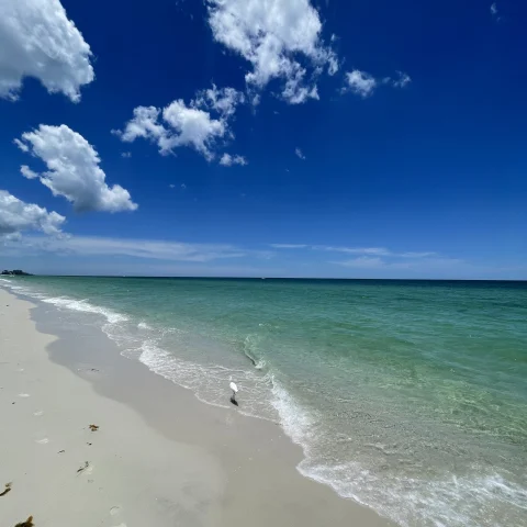 clear blue waters on a white sand beach