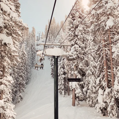 Snow covered trees near a ski lift during the daytime