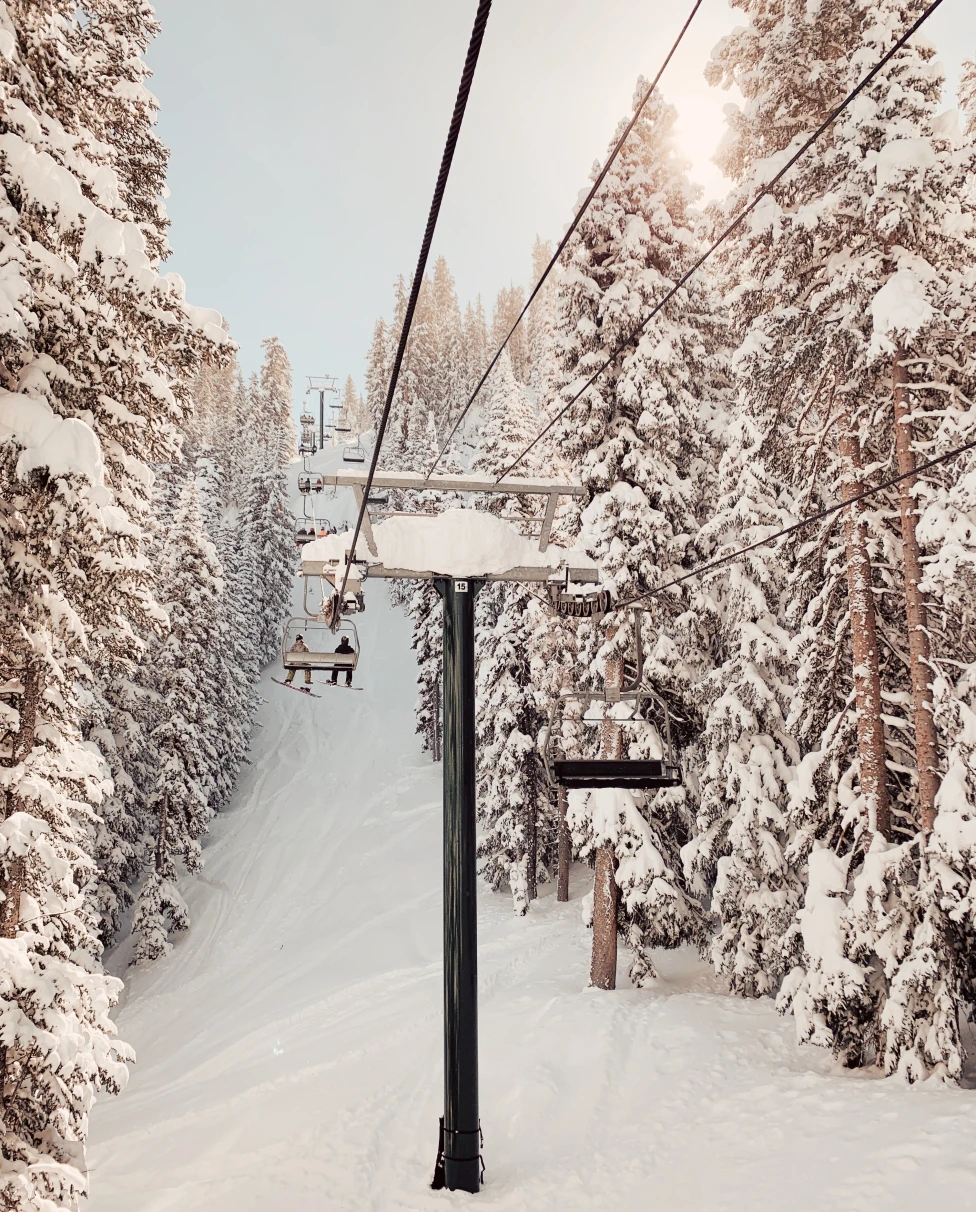 Snow covered trees near a ski lift during the daytime