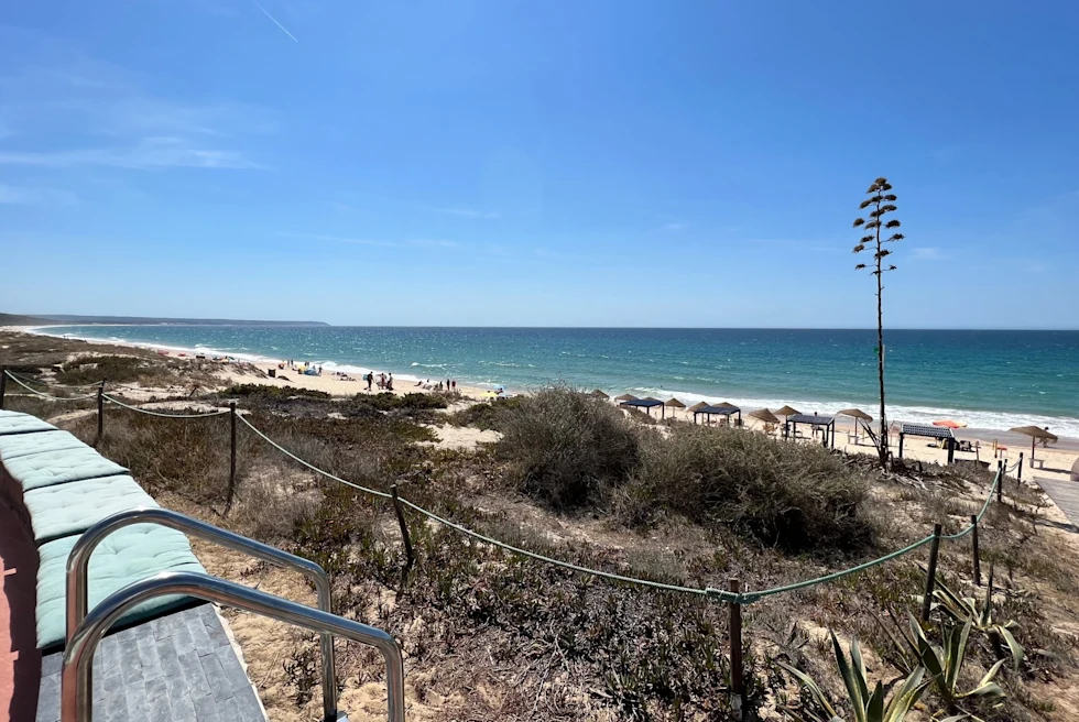 A view of beach during day time.