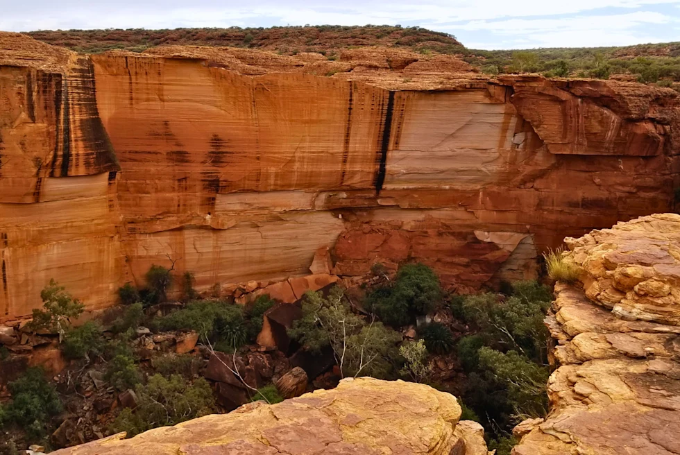 desert canyon with red rock
