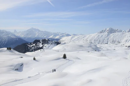 Advisor - Alpine Adventure into Switzerland's Winter Wonderland