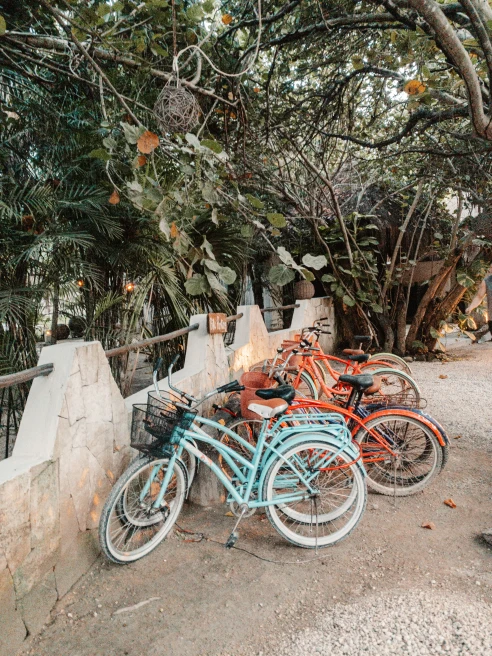 Blue and pink bikes parked under trees in Tulum, Mexico