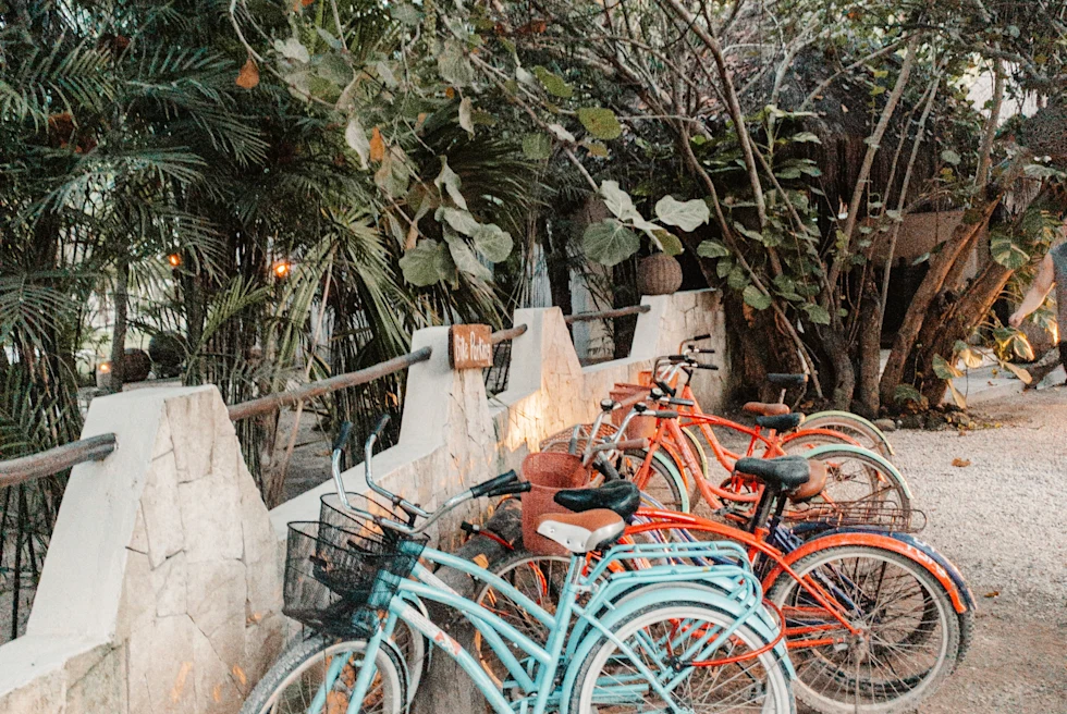 Blue and pink bikes parked under trees in Tulum, Mexico