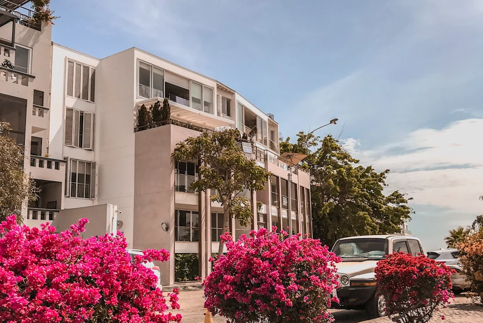 Pink flower bushes next to white buildings with blue skies during daytime