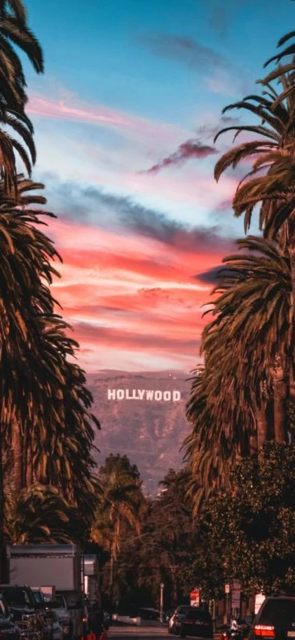 Palm trees lining trees leading to the Hollywood sign on Griffith Park during sunset in Los Angeles.
