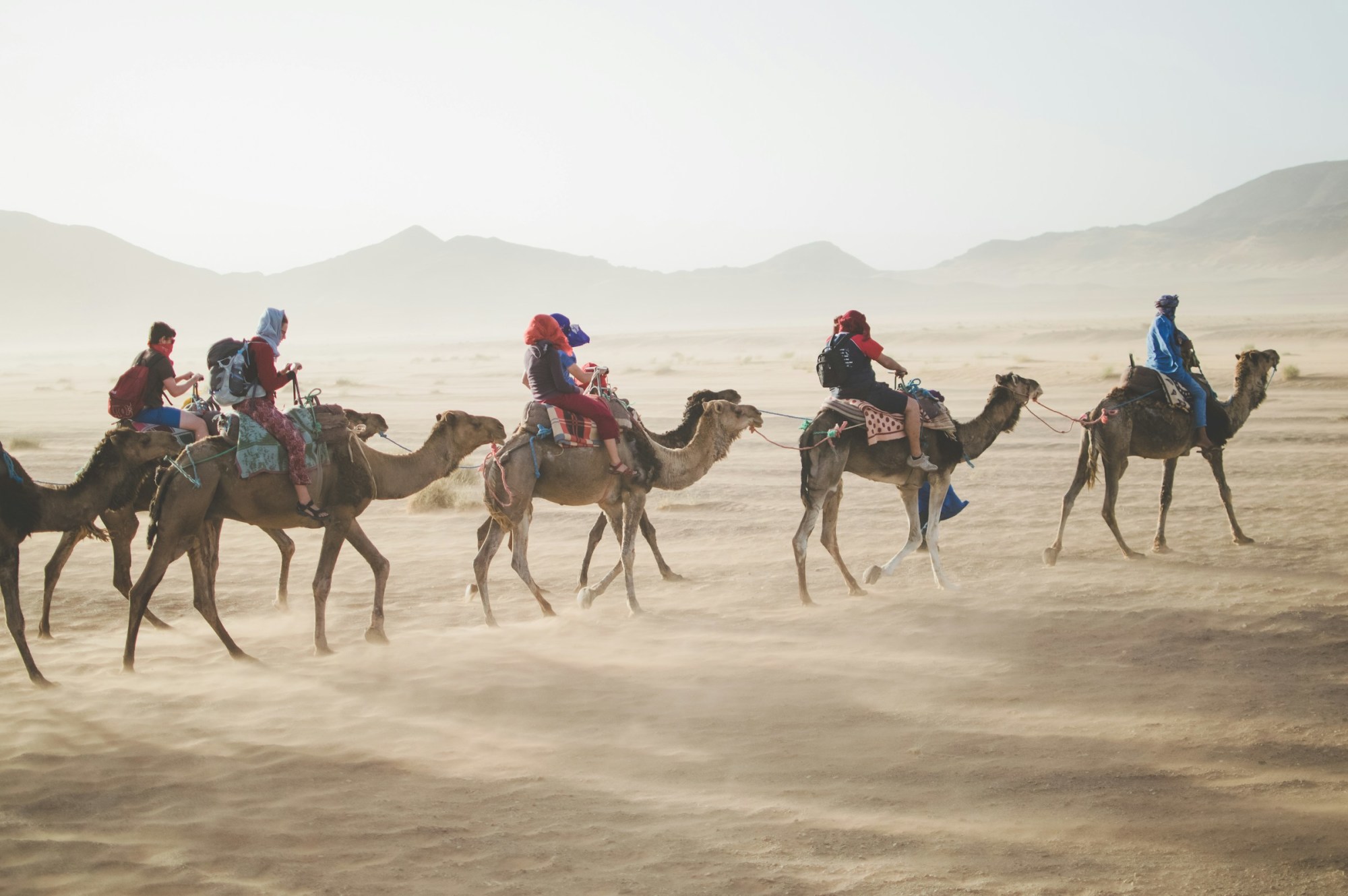 Several travelers on camelback are led by a local guide through the windy Moroccan Desert