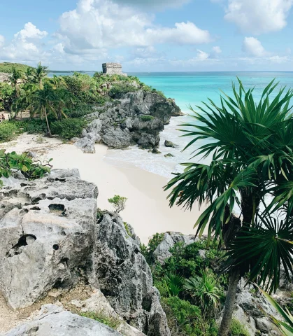 A view of a sandy and rocky beach with crystal clear waters and palm trees in the surrounding areas. 