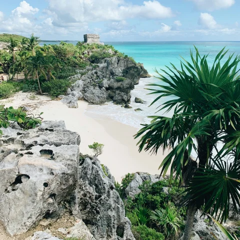 A view of a sandy and rocky beach with crystal clear waters and palm trees in the surrounding areas. 