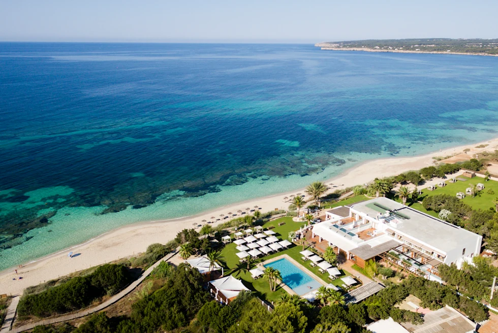 Palm trees and lounge chairs next to the ocean during daytime
