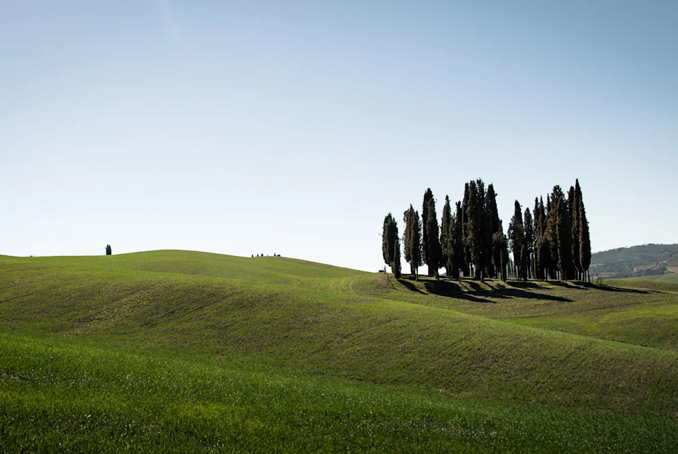 The rolling hills of Tuscany.