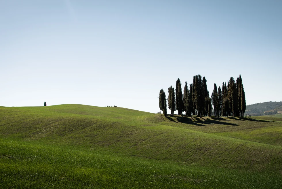 The rolling hills of Tuscany. 