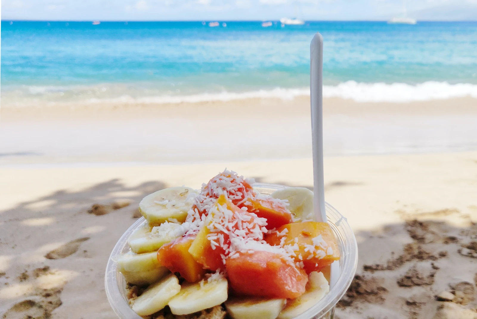 plastic bowl filled with fruits with the ocean in the background