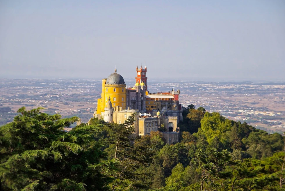 Palace surrounded by trees during daytime