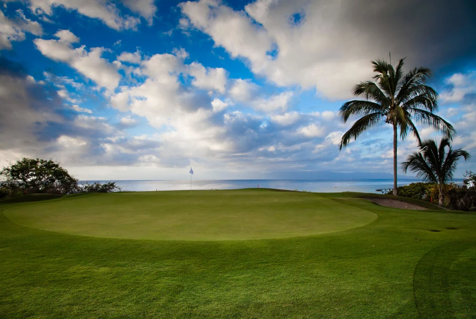 Golf course with palm trees and beachfront in Punta Mita. 