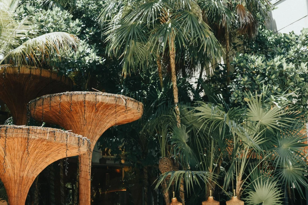 Plants and trees of jungle in Tulum with man-made cone-shaped structures beside it.