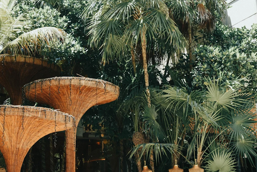 Plants and trees of jungle in Tulum with man-made cone-shaped structures beside it.