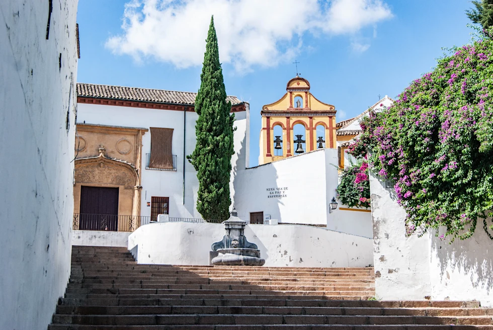 white building with green plants during daytime