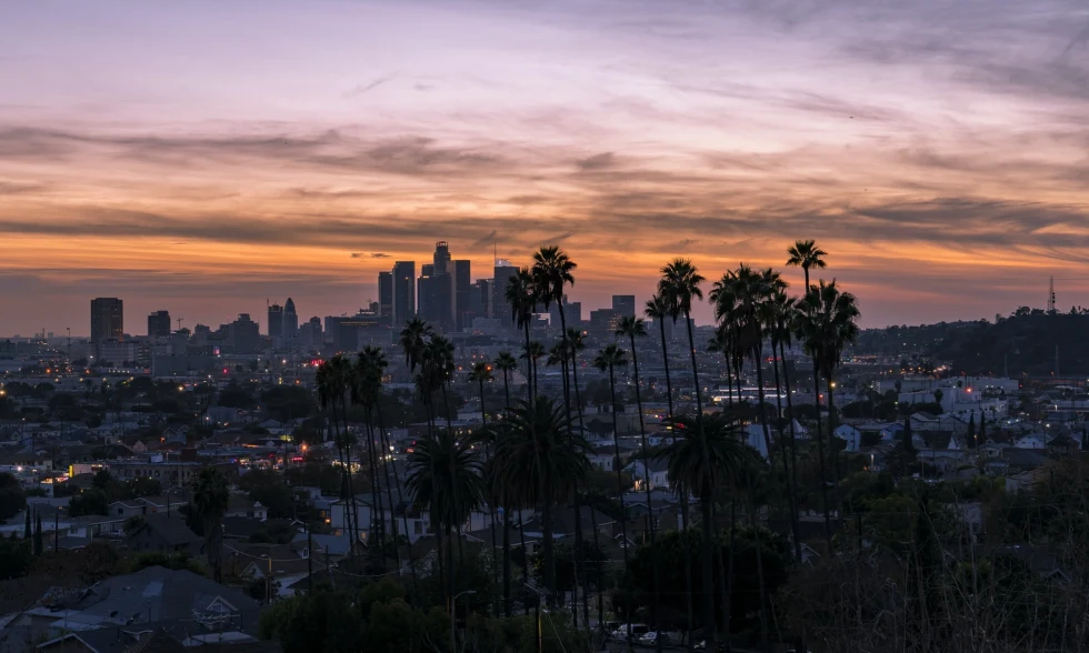 los angeles california city view at sunset with tall palm trees