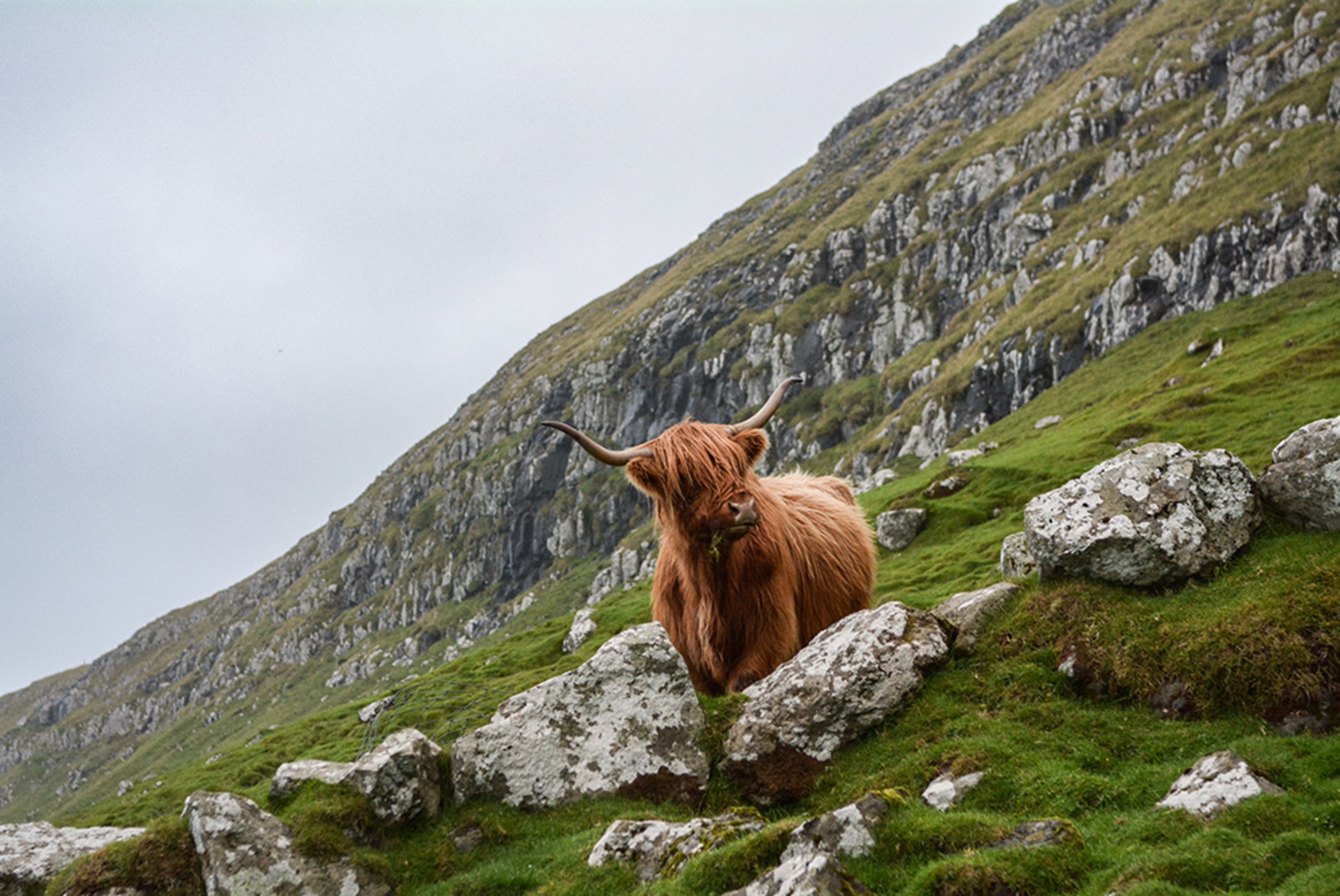 The Perfect 7-Day Itinerary for Scotland - Day 1: Drive to Speyside