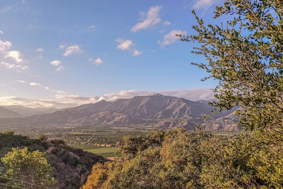 Green tree and mountains under blue sky.