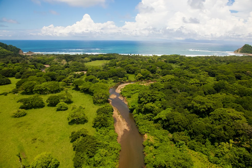 greenery with a dirt road leading to the ocean