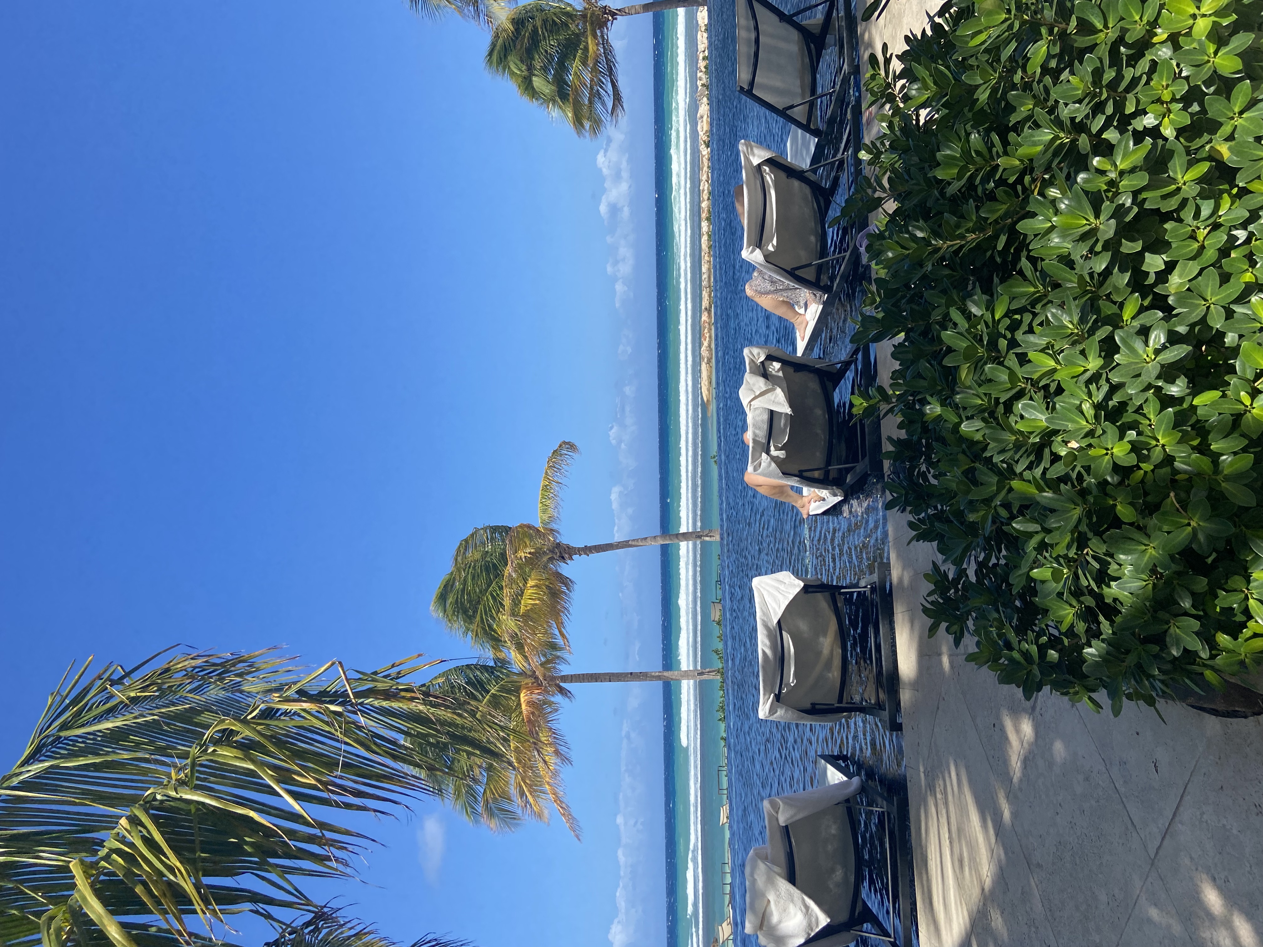 A Caribbean Honeymoon Half Moon, Montego Bay