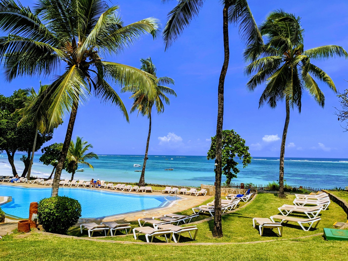 Lounge chairs and palm trees surrounding a pool next to the ocean on a sunny day in Kenya