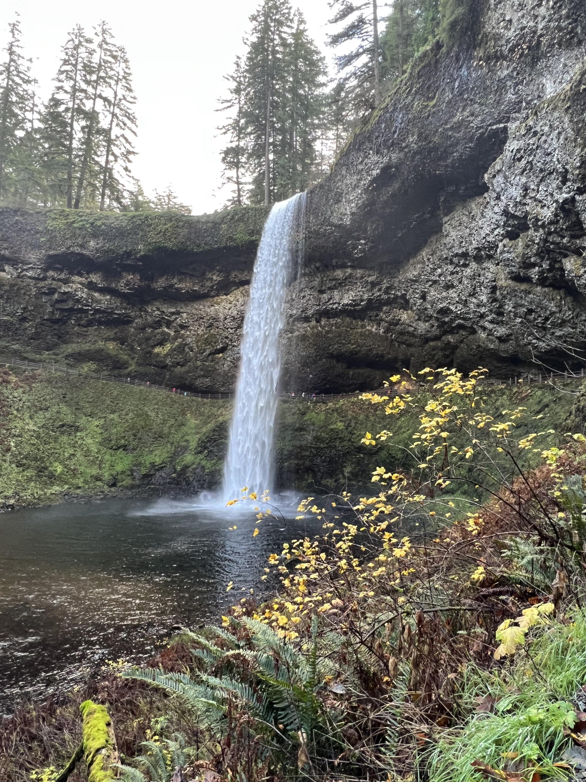 Oregon Coast Adventure Guide: 7 Day Itinerary from Astoria to Brookings