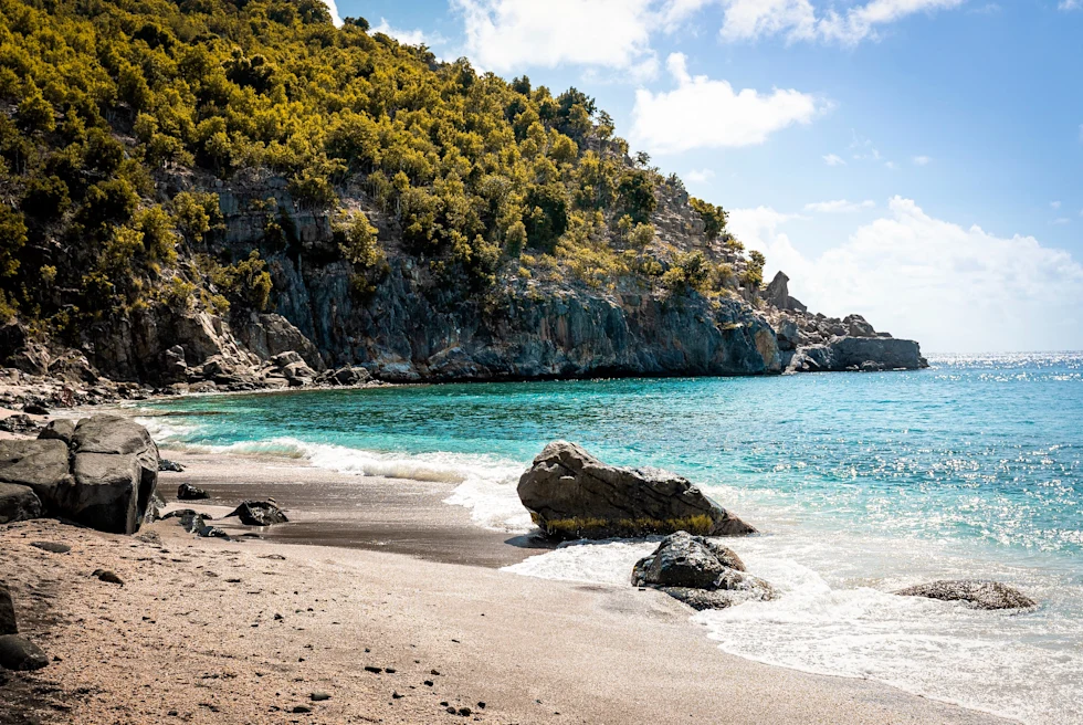 sandy beach next to body of water during daytime