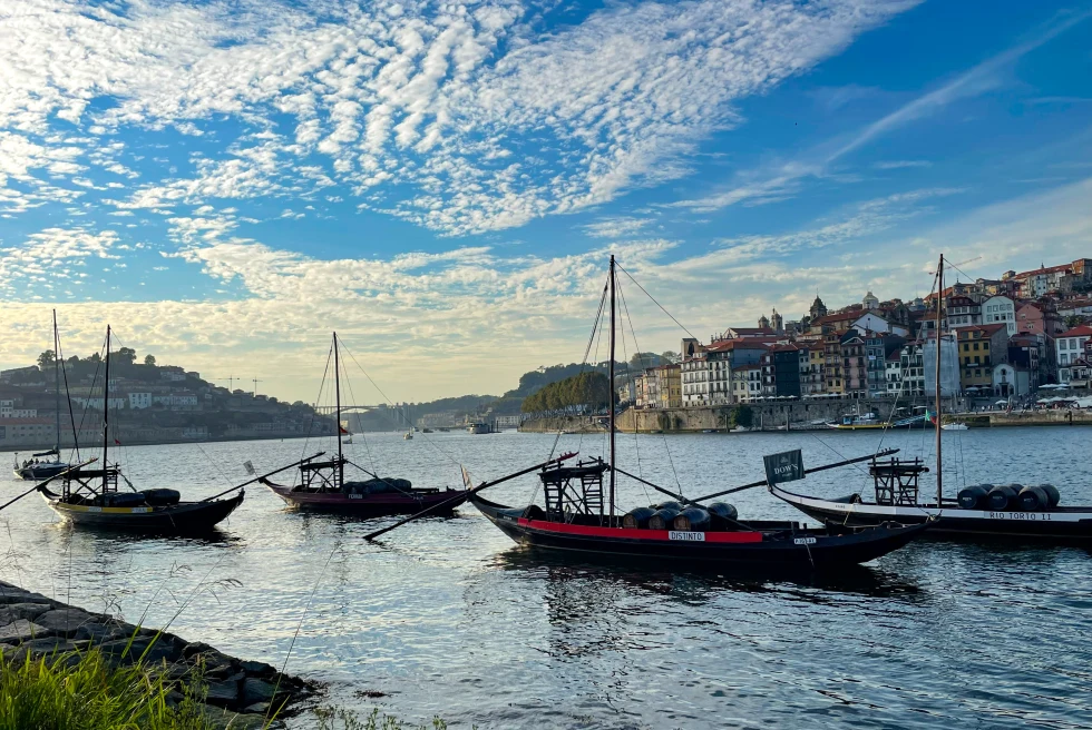 boats in water during daytime