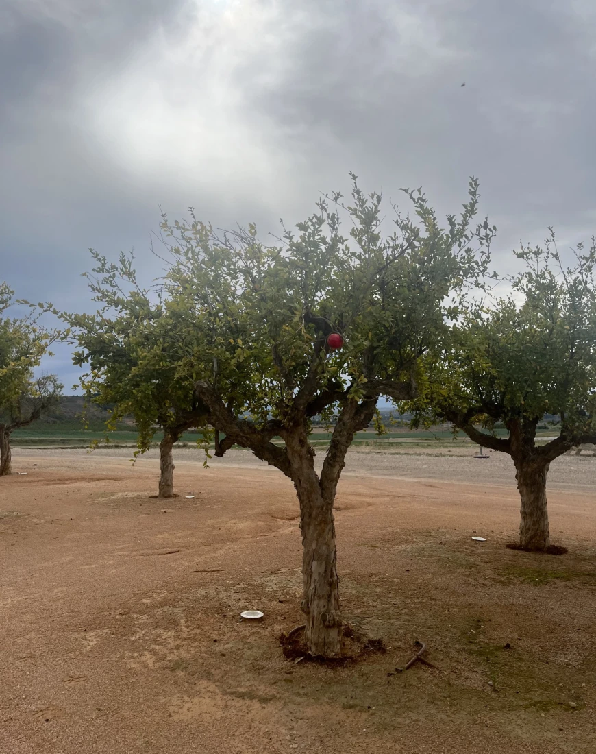 Bardenas Aire - Hotel - Cathy Hamel