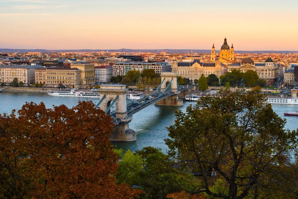 body of water and bridge near large city