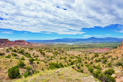 A valley in New Mexico with cacti, and red rocks and mountains in the distance
