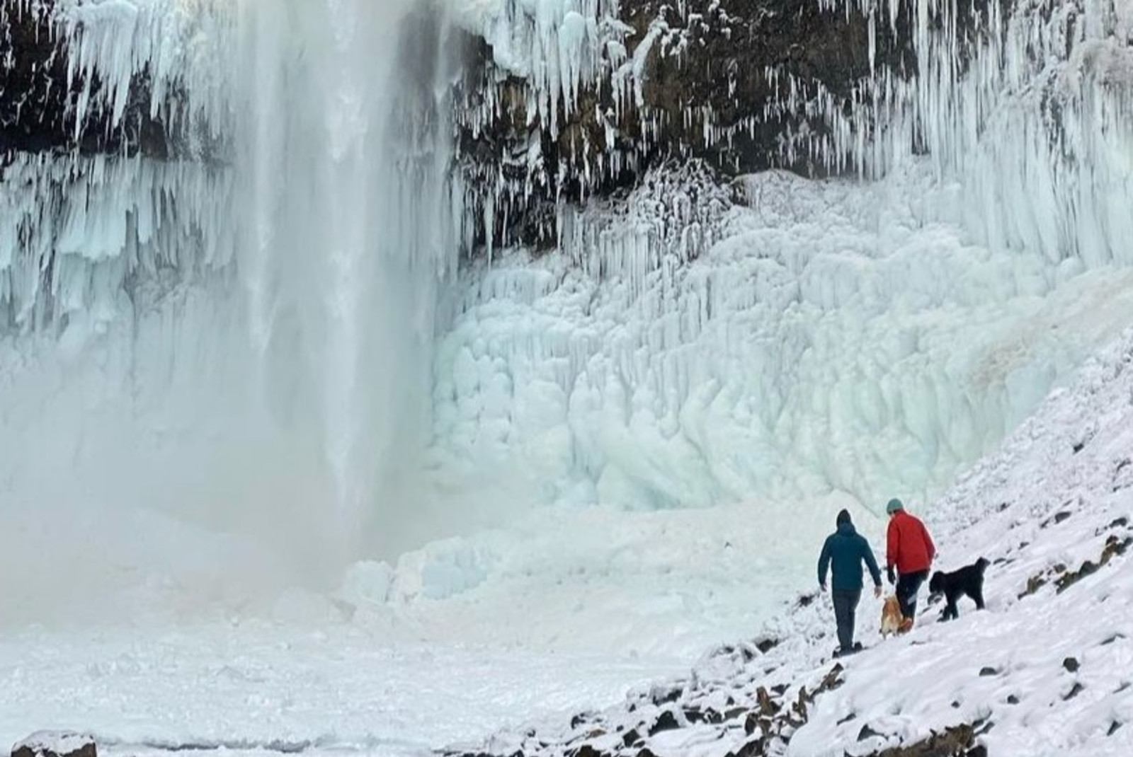 two people standing near waterfall during daytime