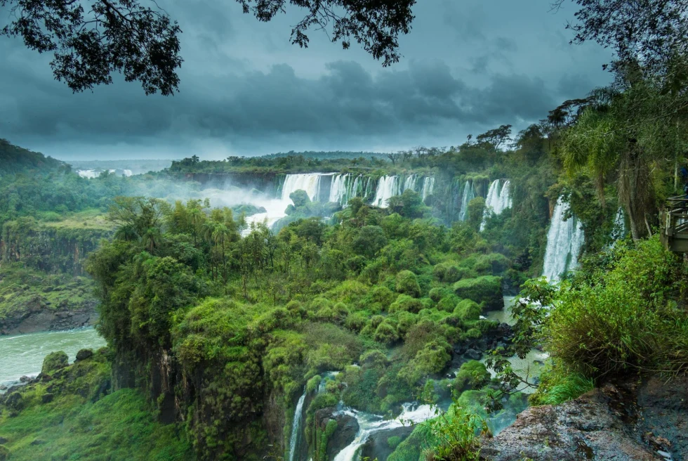 Waterfalls draping over lush jungle canyon with trees in Iguazu Falls, Argentina.