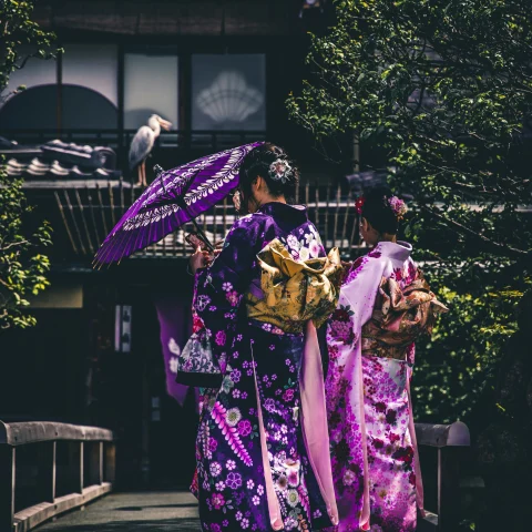 A picture of two women in purple and pink kimono.