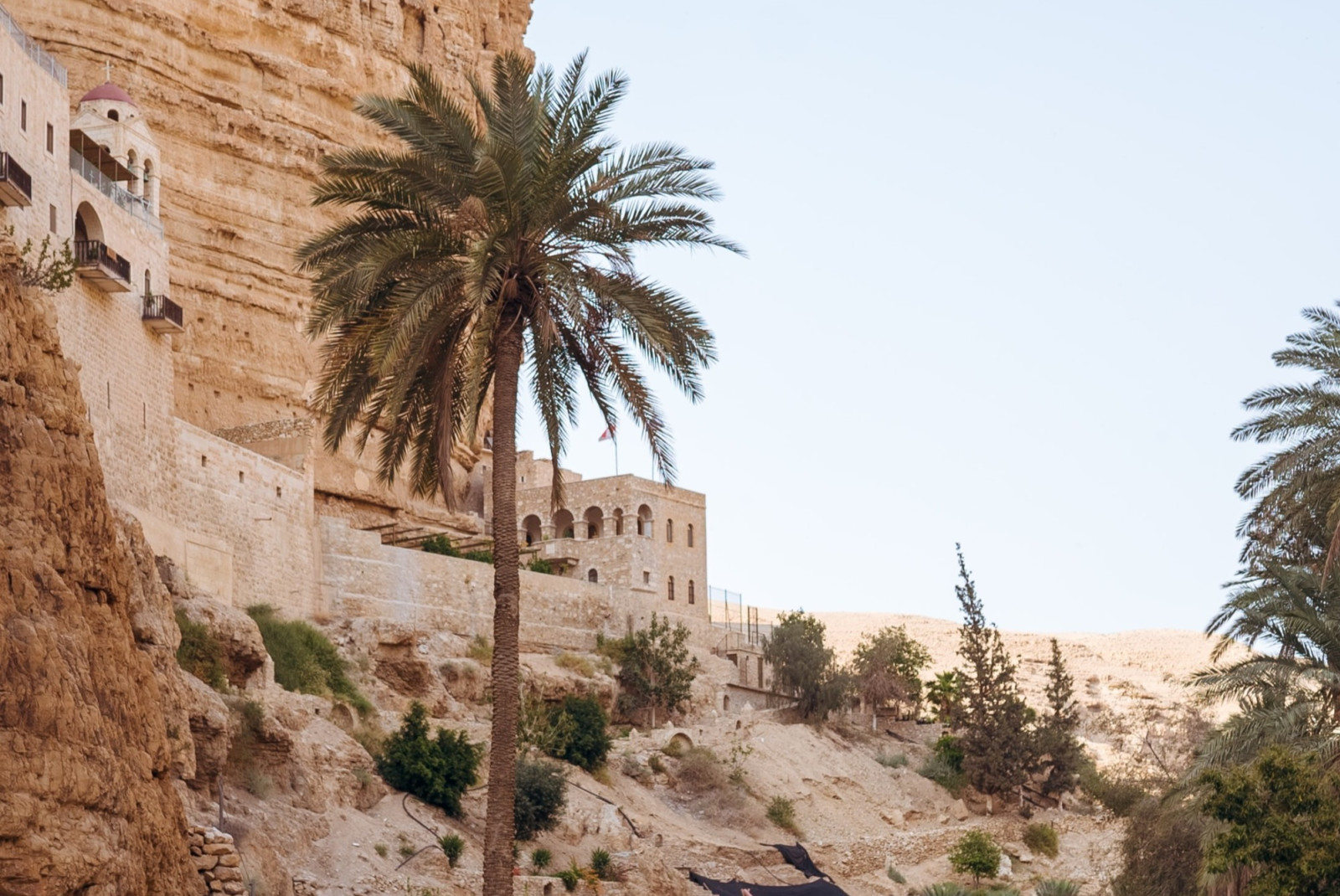 Ancient desert city, Jericho, made of limestone with palm trees on a clear day.