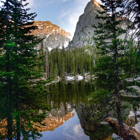clear alpine lake surrounded by pine trees